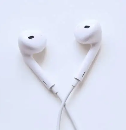 Earphones